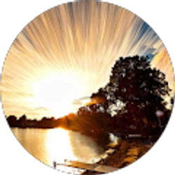 Profile photo of Sunny Liang