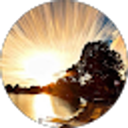 Profile photo of Sunny Liang