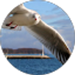 Profile photo of Michelle Hankinson