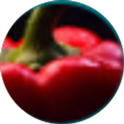 Profile photo of Josh