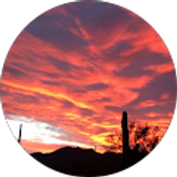 Profile photo of tntj