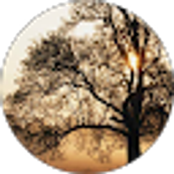 Profile photo of Karissa Bliss