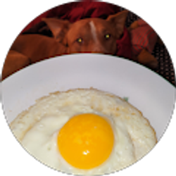 Profile photo of Brandon Franco (Franco)