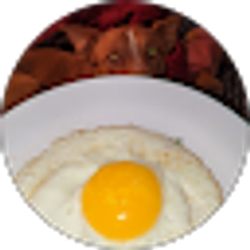 Profile photo of Brandon Franco (Franco)