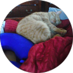 Profile photo of Tela Dunlap