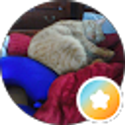Profile photo of Tela Dunlap