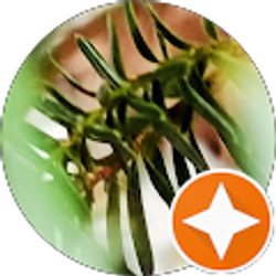 Profile photo of sandra yost