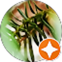 Profile photo of sandra yost