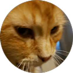 Profile photo of Mustached Dino