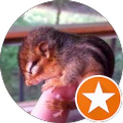 Profile photo of David Bennett