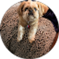 Profile photo of Ceci G