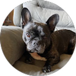 Profile photo of Amanda Jarowski