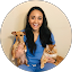 Profile photo of Alexis Brown