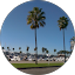 Profile photo of s zhang