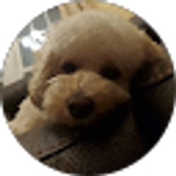 Profile photo of Tom Kim