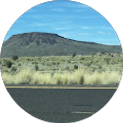 Profile photo of Peggy DeLellis