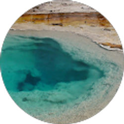 Profile photo of Carrie Podl