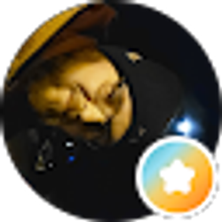 Profile photo of Tyler Schumann