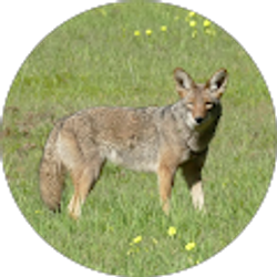 Profile photo of Timothy Williams