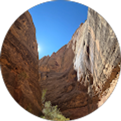 Profile photo of Kenar Houghton