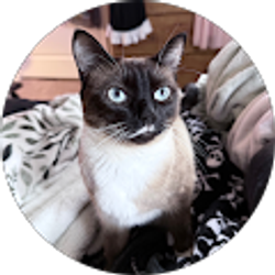 Profile photo of Aine Winstell