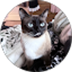 Profile photo of Aine Winstell