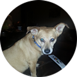 Profile photo of Jason K.