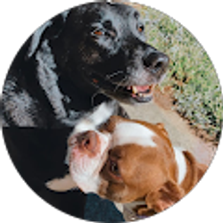 Profile photo of Hannah McLaughlin