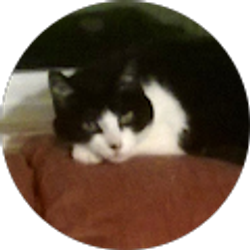 Profile photo of Bryce Adams