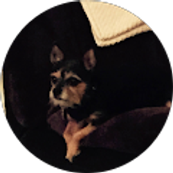 Profile photo of Aaron Von