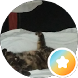 Profile photo of DPO247 *