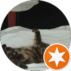 Profile photo of DPO247 *