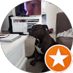 Profile photo of Steve Wolfe