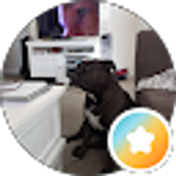 Profile photo of Steve Wolfe