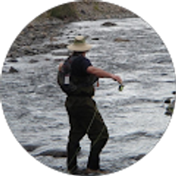 Profile photo of Gus Link