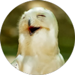 Profile photo of Brian Hotchkiss