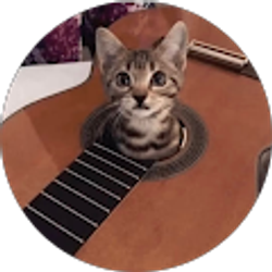 Profile photo of Allison Berkley