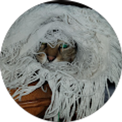 Profile photo of Boomhauer Oo