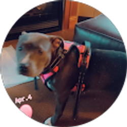 Profile photo of mary grant