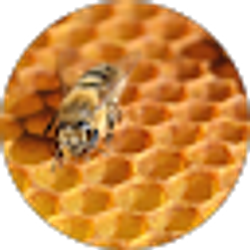 Profile photo of Lizzy Jones