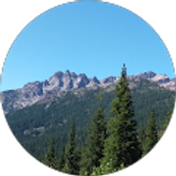 Profile photo of Sharon Youngdahl