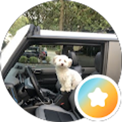 Profile photo of Rich Bonifazio