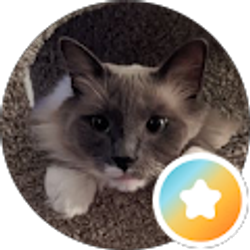 Profile photo of leslie sherban