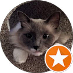 Profile photo of leslie sherban