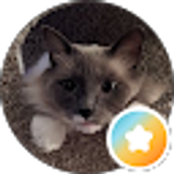 Profile photo of leslie sherban