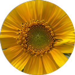 Profile photo of CAddy