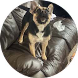 Profile photo of Behrbaum Family