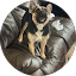Profile photo of Behrbaum Family