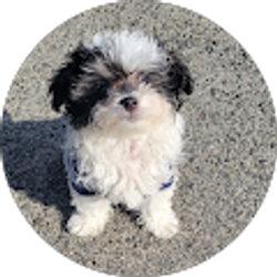 Profile photo of nery alvarado