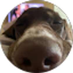 Profile photo of Koryn Hicks